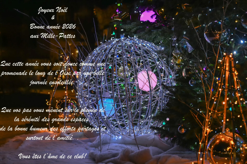 voeux 2026